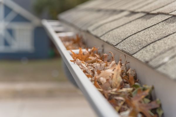 Leaf Barrier Installation in New Port Richey
